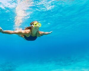 Snorkeling and Dolphin Watching Experience in Destin