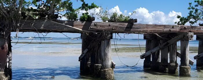 Sonnys Boat Tours Full Day Sand Bar Adventure Englewood, Florida