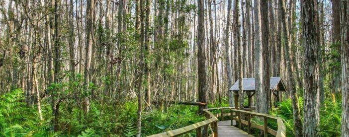 Ultimate Florida Self Guided Driving & Walking Audio Tour Bundle