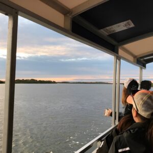Wildlife Tour of Indian River Lagoon with Experienced Captain