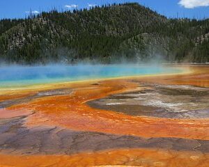 Yellowstone National Park - PRIVATE Full-Day Lower Loop Tour from Jackson Hole