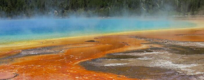 Yellowstone National Park - PRIVATE Full-Day Lower Loop Tour from Jackson Hole