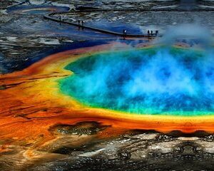 Yellowstone National Park Tour from Jackson Hole