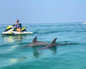 2 Hour Jet Ski Dolphin Tour to Shell Island