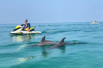 2 Hour Jet Ski Dolphin Tour to Shell Island