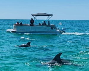 2 Hour Private Dolphin Tour at Panama City Beach
