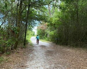 Big Talbot Island Self Guided Electric Bike Tour