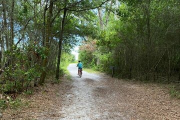 Big Talbot Island Self Guided Electric Bike Tour