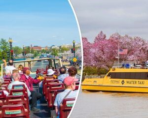DC Bundle: Hop-on Hop-off Bus Tour & All-Day Water Taxi Pass