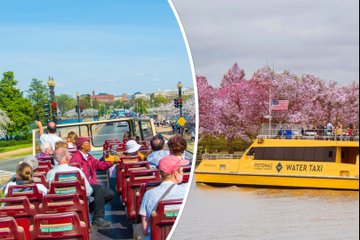 DC Bundle: Hop-on Hop-off Bus Tour & All-Day Water Taxi Pass