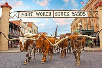 Dallas Highlights & Fort Worth Highlights Day Tour