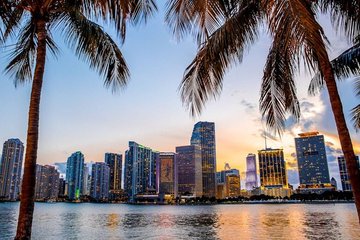 From Miami - City, Culture, Art and Beach Tour