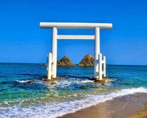 Itoshima and Flower Seaside Park Day Tour from Fukuoka