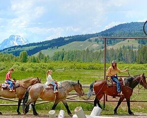 Jackson Hole Horseback Riding & Lunch in Bridger Teton NF