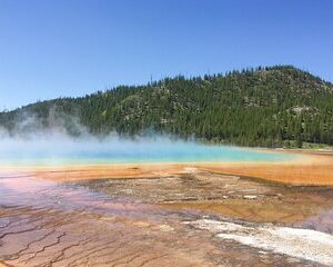 Los Angeles to Las Vegas and Yellowstone 8-Day Round Trip Tour