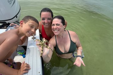 Private Dolphin and Shell Island Snorkeling Tour Up to 6 Guests