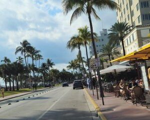 Private Everglades and City Tour Combined
