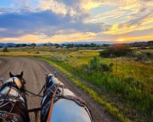 Scenic Wagon Tour Along Bozeman Trail
