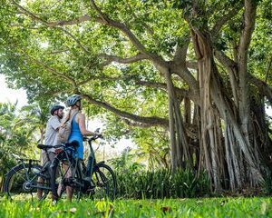 Self Guided E Bike Tour of Coral Gables with App