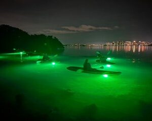 Sharkey's Glass Bottom LED Illuminated Kayak Night Tour