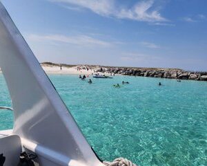 Snorkel and Dolphin Cruise Aboard The Sea Blaster in Destin FL