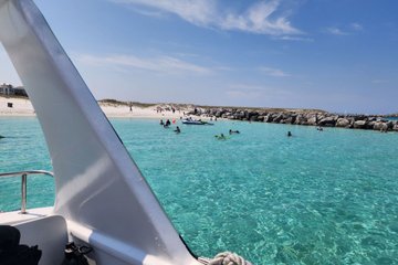 Snorkel and Dolphin Cruise Aboard The Sea Blaster in Destin FL
