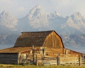 Sunrise Wildlife Adventure in Grand Teton National Park