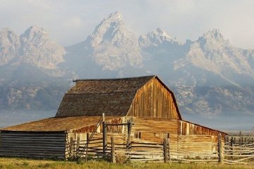 Sunrise Wildlife Adventure in Grand Teton National Park