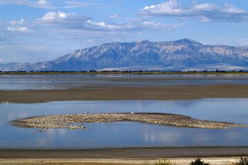 10 VIP Group Yellowstone 4 Days Tour Salt Lake City Round Trip