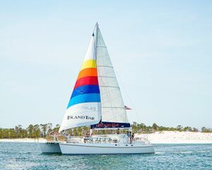3 Hour Panama City Beach Dolphin Cruise and Shell Island Tour