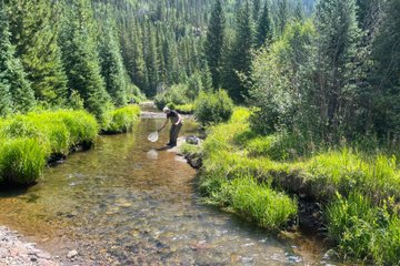 8 Hours Guided Fly Fishing Trips in Rocky Mountain National Park
