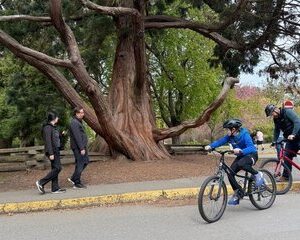 Explore Victoria Scenic Paths With a Bike Rental from Cruise Port