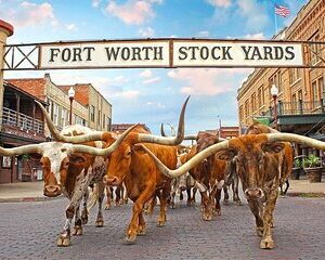 Fort Worth Highlights, Billy Bob's & John Wayne Day Tour