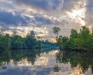 Key Largo: Deserted Island Tour Kayak Adventure