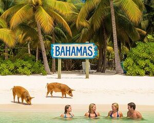 Miami/Lauderdale: Bahamas Day Cruise & Getaway
