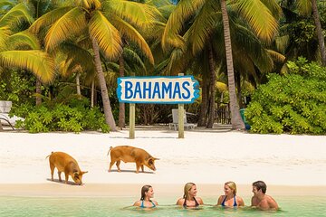 Miami/Lauderdale: Bahamas Day Cruise & Getaway