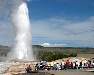PRIVATE Yellowstone Full Day Tour From Jackson Hole