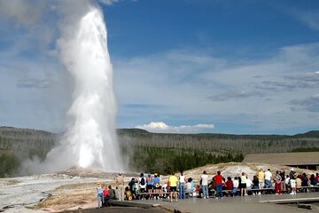 PRIVATE Yellowstone Full Day Tour From Jackson Hole