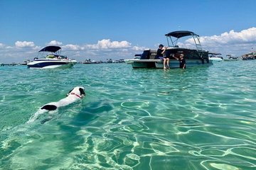 Private Dolphin Tours and Customized Charters in Destin