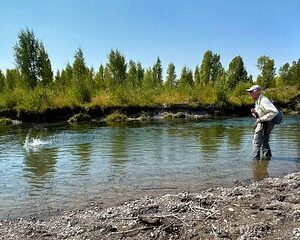Private Fly Fishing Adventure in the Jackson Hole Backcountry