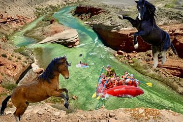 Red Canyon's Best Of The Wild West Wild Mustang+Rafting Adventure